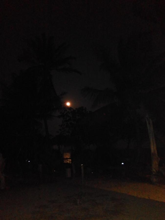 Asari Timo Cottage Karimunjawa Buitenkant foto