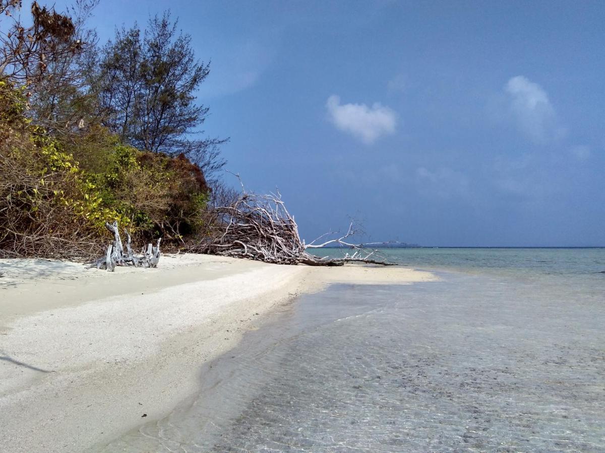 Asari Timo Cottage Karimunjawa Buitenkant foto